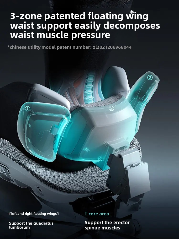 Ergonomic Chair,AI 3-Zone Lumb - Office Furniture Zone 리뷰 및 가격