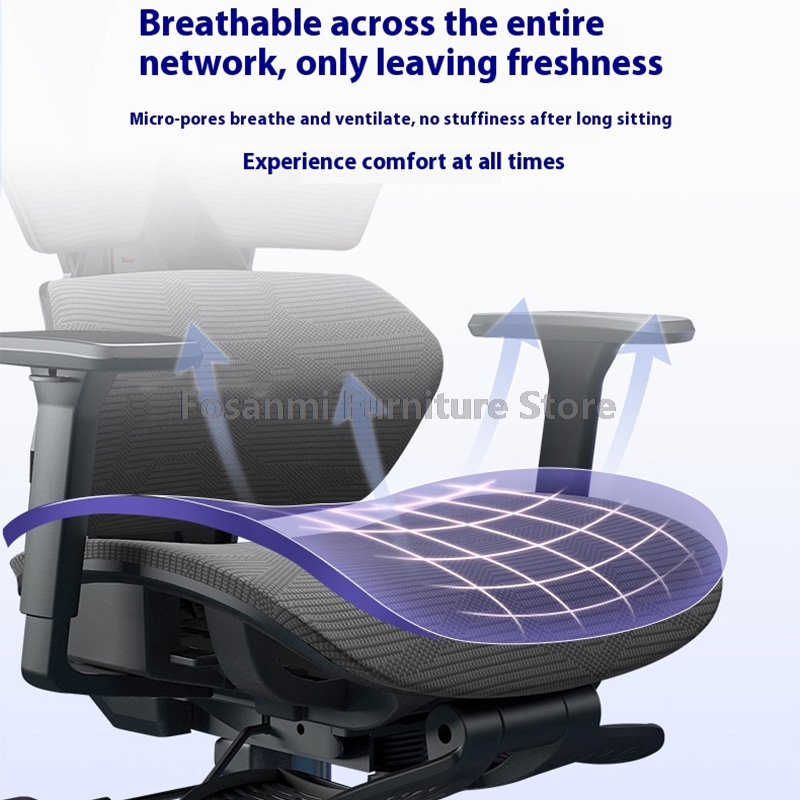 Ergonomic Zoned Support Backre - Office Furniture Zone 리뷰 및 가격